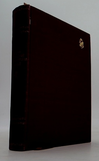 V družině dobrodruha krále III