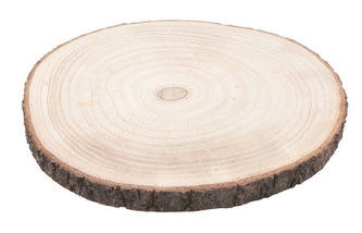 Dřevěný plátek ø 24 x 2 cm