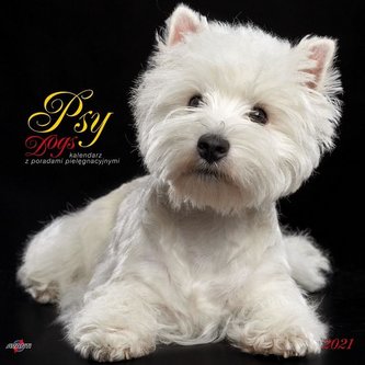 Kalendarz 2021 KAD-10 Psy AVANTI