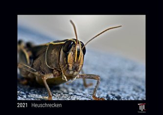 Heuschrecken 2021 - Black Edition - Timokrates Kalender, Wandkalender, Bildkalender - DIN A3 (42 x 30 cm)