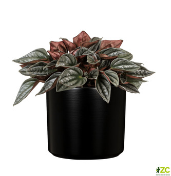 Obal 631 Night Black lesk 16