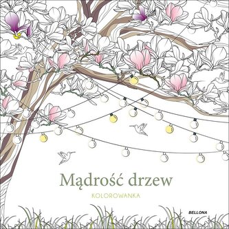 Mądrość drzew. Kolorowanka