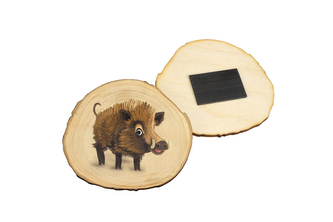 Lesní svět Magnet Letokruh - Divočák - dětský motiv