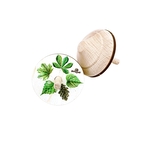 Lesní svět Dřevěná káča - Listy