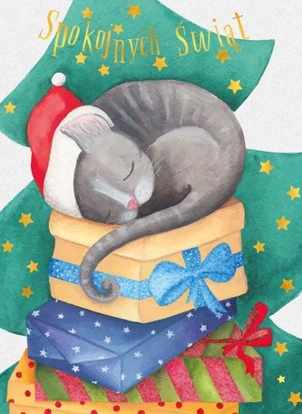 Karnet B6 Boże Narodzenie - Kocur (10szt)