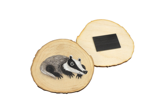 Lesní svět Magnet Letokruh - Jezevec - dětský motiv