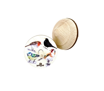 Lesní svět Dřevěná káča - Ptáci