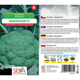 Brokolice MARATHON F1_0,1 g Brokolice MARATHON F1_0,1 g