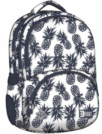 Plecak 4-komorowy Ananasy