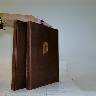 Chrám panny marie v paříži I-II