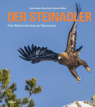 Der Steinadler