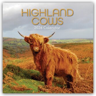 Highland Cows - Hochland-Kühe - Hochlandrinder 2026 - 16-Monatskalender
