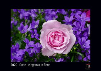 Rose - eleganza in fiore 2020 - Edizione Nera - Timokrates calendari da parete, calendari fotografici - DIN A4 (ca. 30 x 21 cm)