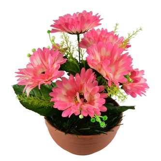 Gerbery růžové 7 květů v terakotové misce Ø22/ 24 cm