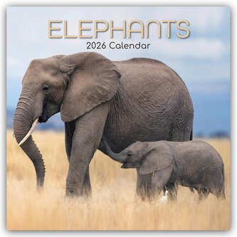 Elephants - Elefanten 2026 - 16-Monatskalender