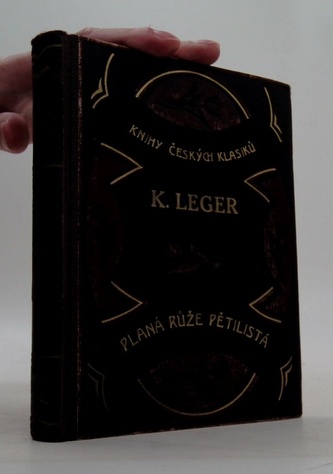 Planá růže pětilistá