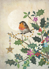 Přání DC044 BUG ART  - vánoční