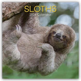 Sloths - Faultiere 2026 - 16-Monatskalender
