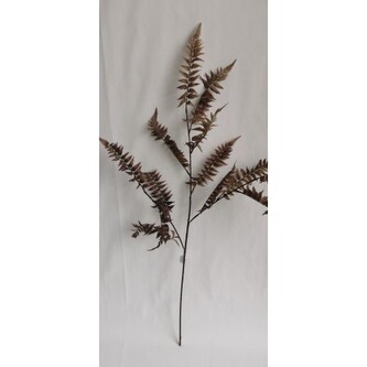 Kapradí větev hnědá 100 cm  N014 AUT/hnědá