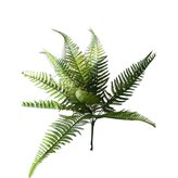 Kapradí sv. zelené 55*83 cm  N017/sv. zel.