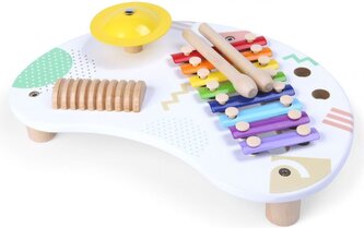 ECOTOYS Sada hudebních nástrojů