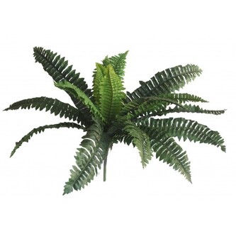 Kapradí 60x75 cm  HL760/21