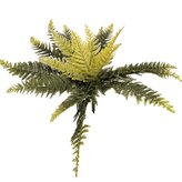 Kapradí 32*58 cm  3321147-50