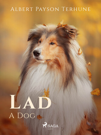Lad: A Dog Lad: A Dog