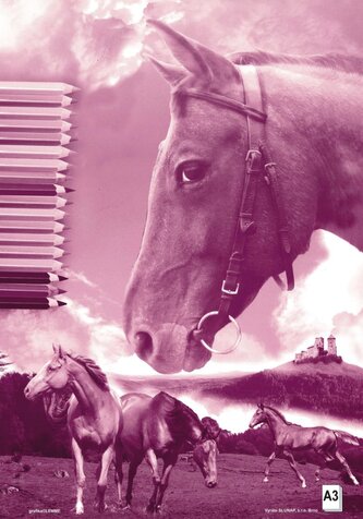 Náčrtník A3 40 listů