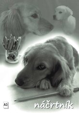 Náčrtník A3 20 listů