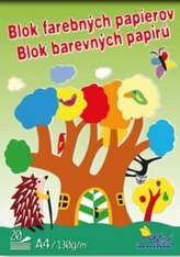 Skicák A4 20 barevných listů