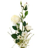 Kytice vázaná bílá růže 70 cm  EV021