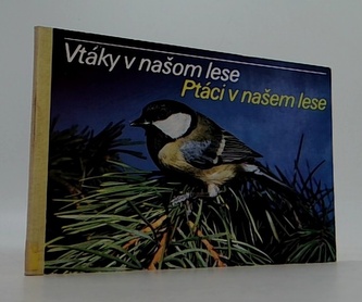 Ptáci v našem lese