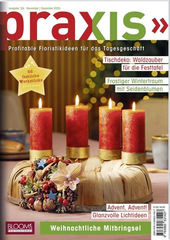 PRAXIS Nr. 126