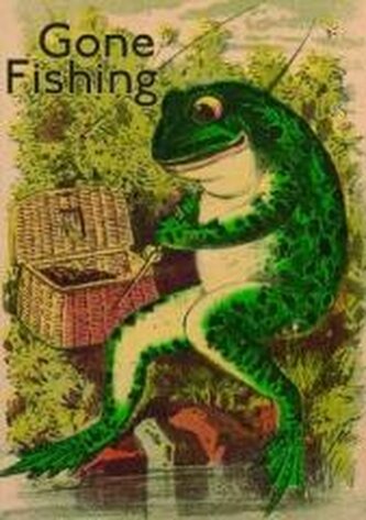 Karnet B6 z kopertą Żaba na rybach