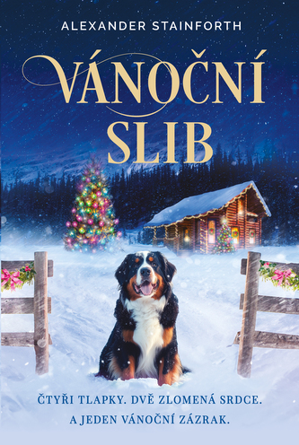 Vánoční slib Vánoční slib