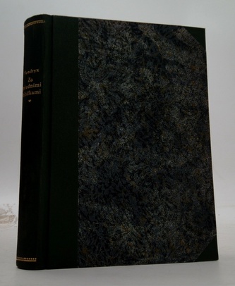 Za předními hlídkami