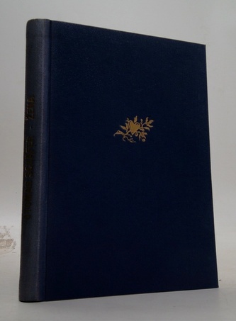 Žena a jiné bizarrní příběhy