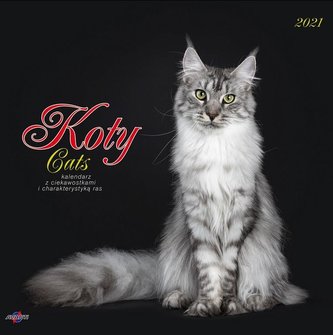 Kalendarz 2021 KAD-9 Koty AVANTI