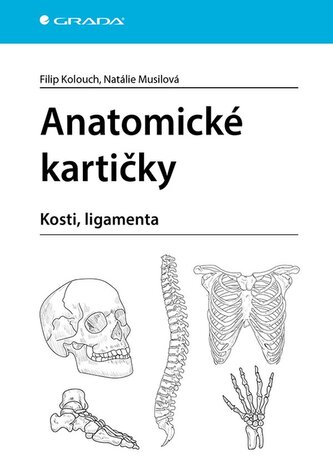 Anatomické kartičky