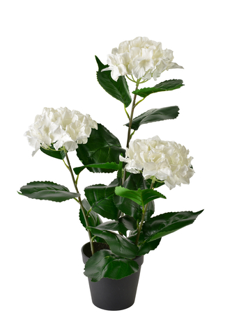 VIRIDIS Sztuczny kwiat hortensja biała 1,5x8,5x51cm