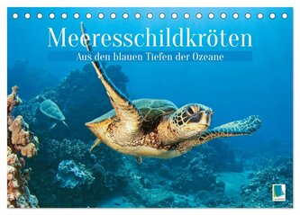 Meeresschildkröten: Aus den blauen Tiefen der Ozeane (Tischkalender 2026 DIN A5 quer), CALVENDO Monatskalender