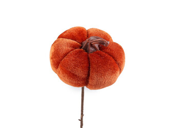 Zápich sametová dýně - 1 ks - 2 oranžová tmavá