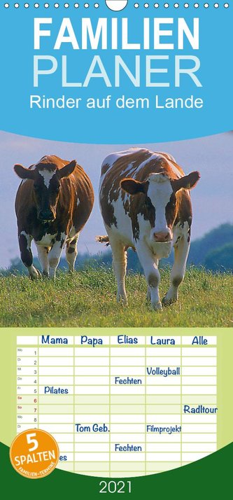 Rinder auf dem Lande - Familienplaner hoch (Wandkalender 2021 , 21 cm x 45 cm, hoch)