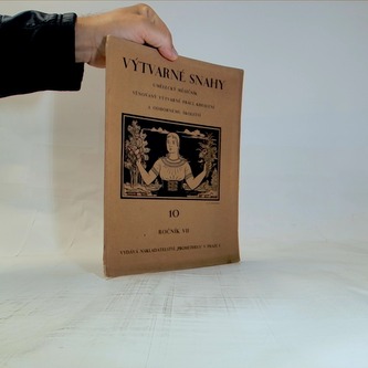 Výtvarné snahy (10. ročník VII)