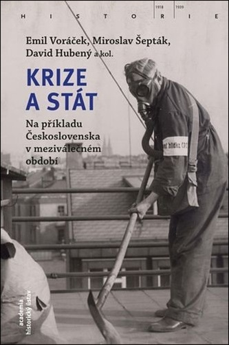 Krize a stát