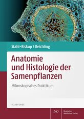 Anatomie und Histologie der Samenpflanzen