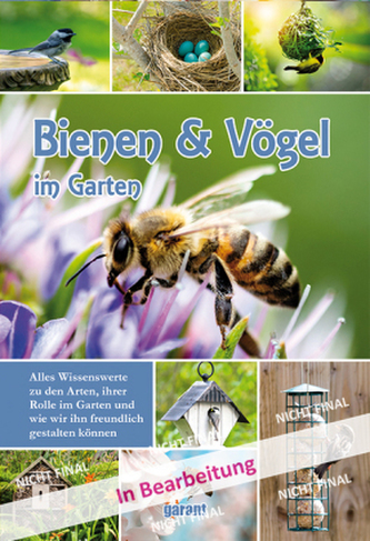 Bienen und Vögel
