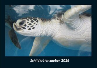 Schildkrötenzauber 2026 Fotokalender DIN A4