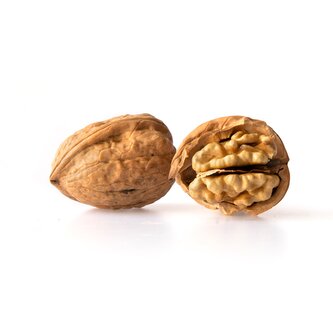 Vlašské ořechy ve skořápce  BIO